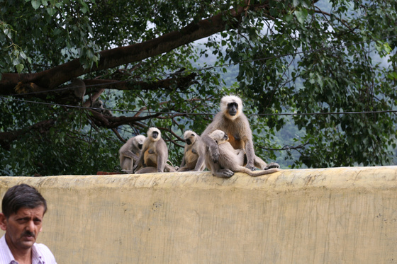 IMG 7916