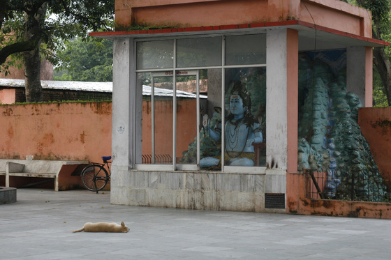 Rishikesh, Virabhadra