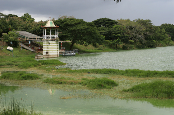 Mysore