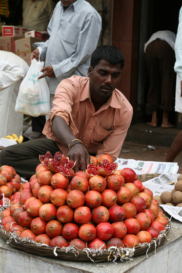 Mysore