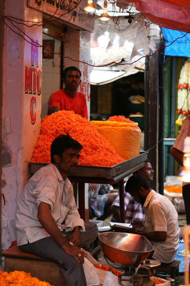 Mysore