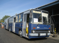 800-as busz: DZD-345 - indafoto.hu