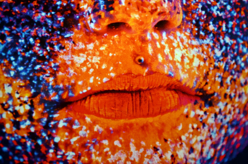 DSC 0251