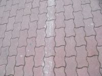 csabafigyelo: DSCF0013