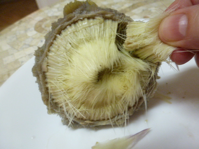 zöldseg artichoke-heart-haj