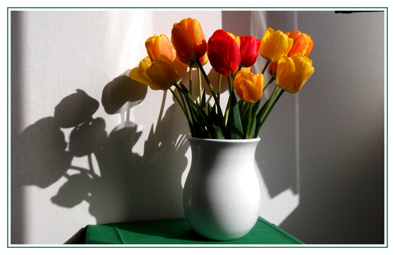 simléder: Húsvéti tulipánok