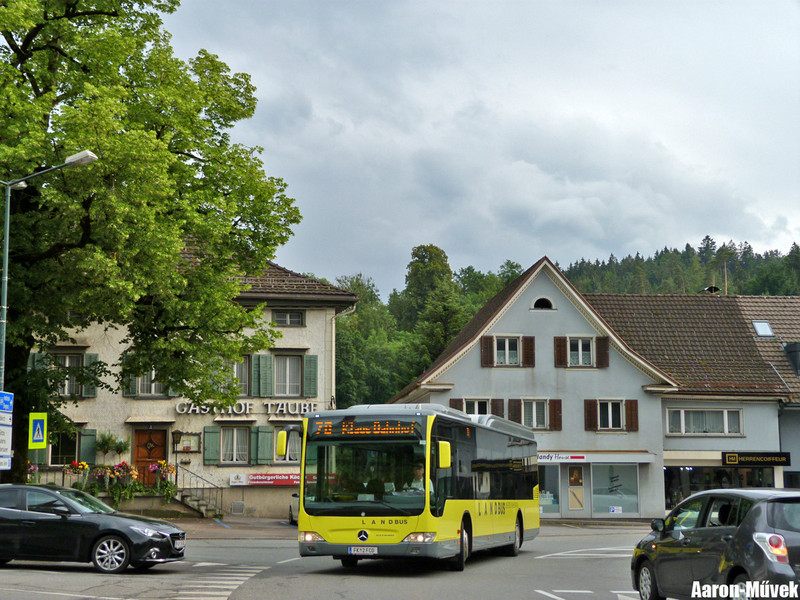 Vorarlberg II (39)