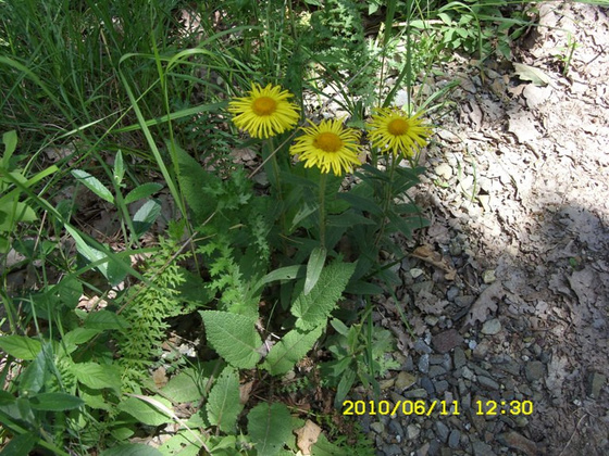 8184607_1ad5af7075cf4df0b2037a0ab3bb878e_m.jpg