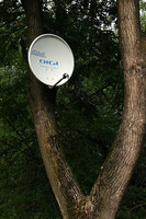 26351425_1fa002cafbdc3a4bbc19d893f511790a_s.jpg