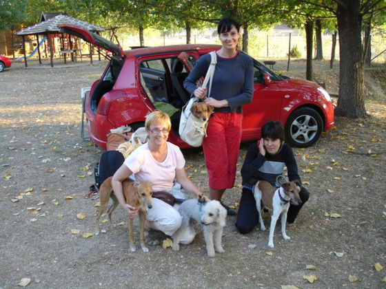 13260817_d39bac8e792e3e22e628b594f04965dc_m.jpg