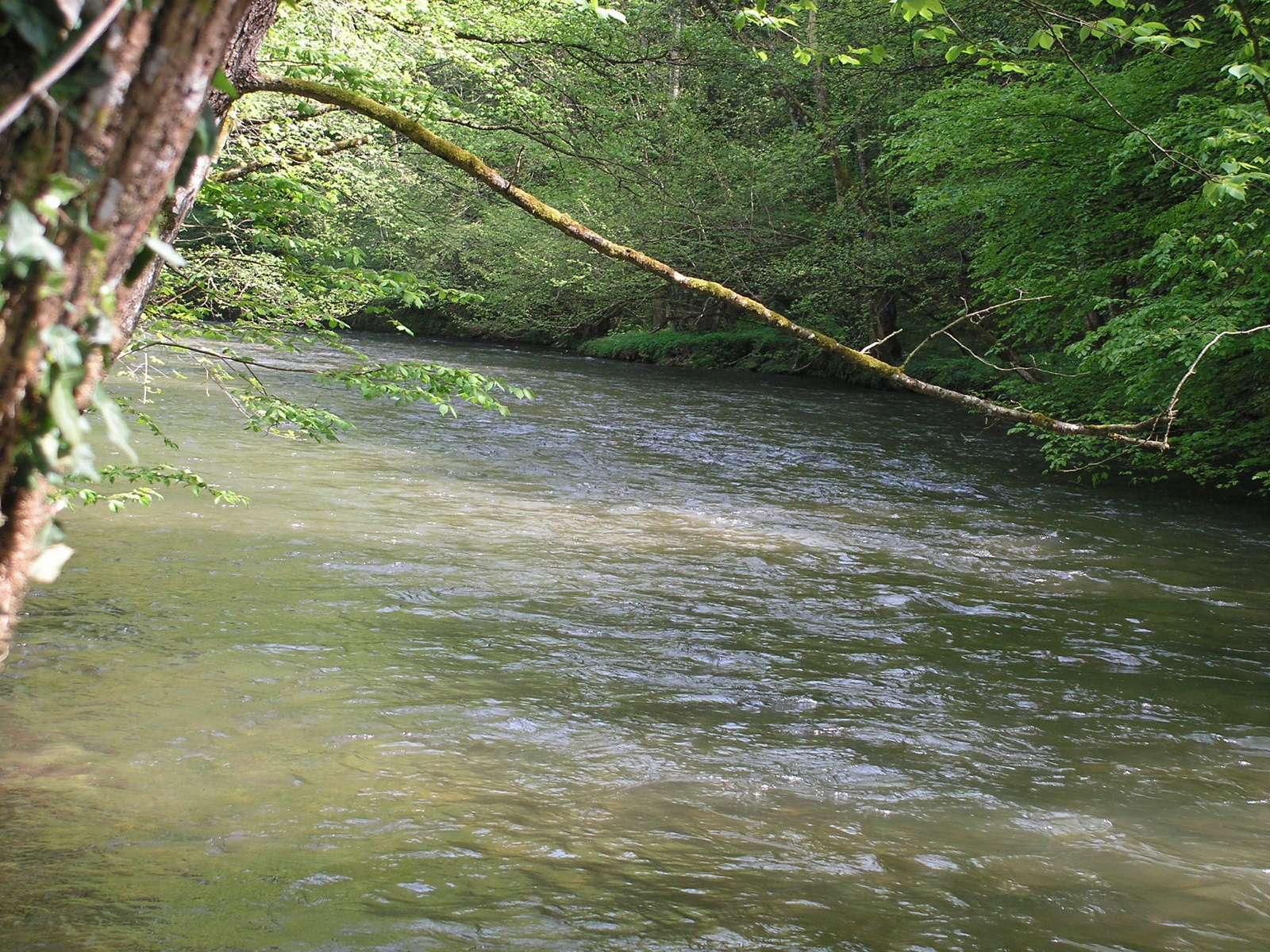 Herberstein, Feistritz szurdok, SzG3