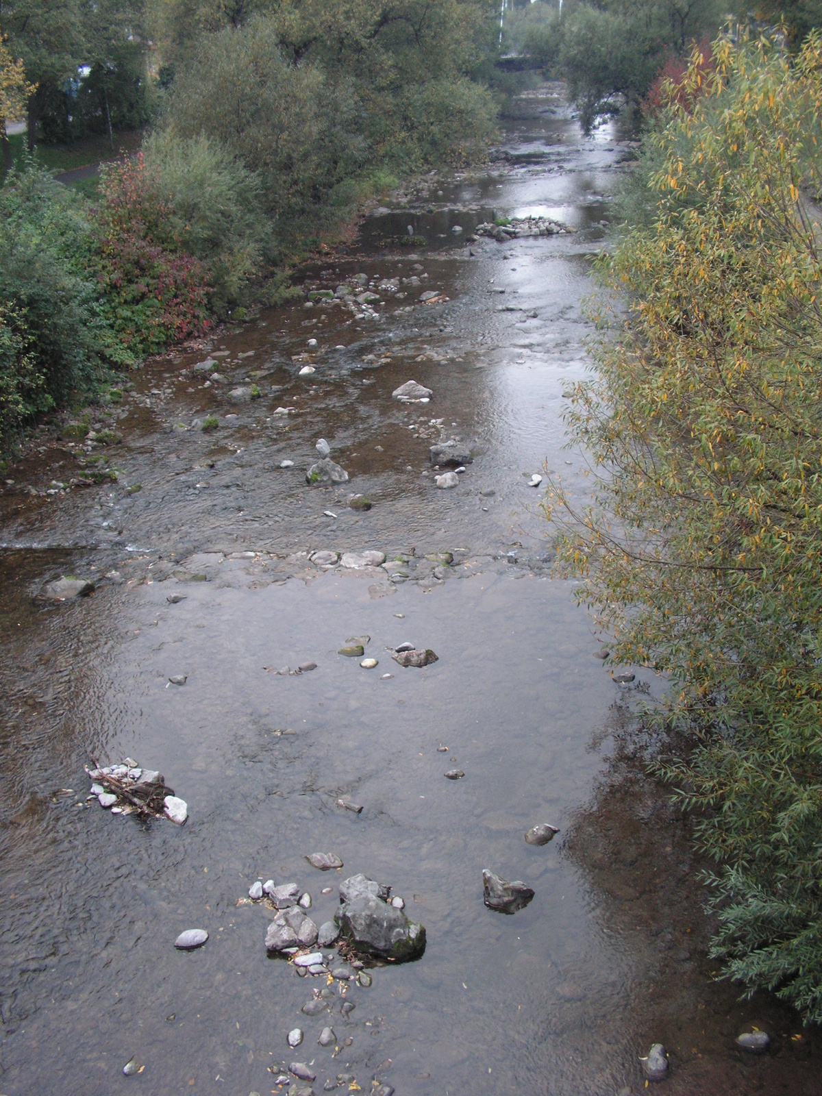 Freiburg im Breisgau, a Dreisam folyó, SzG3