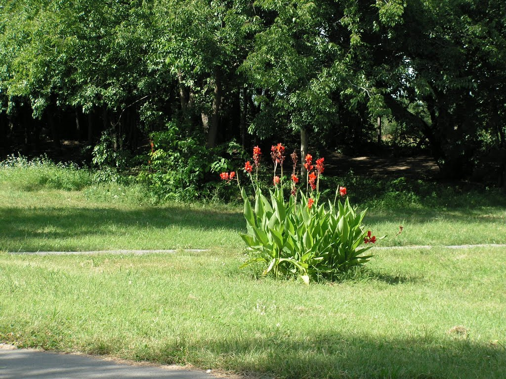 Gyömrő, a Teleki kastély parkja, SzG3