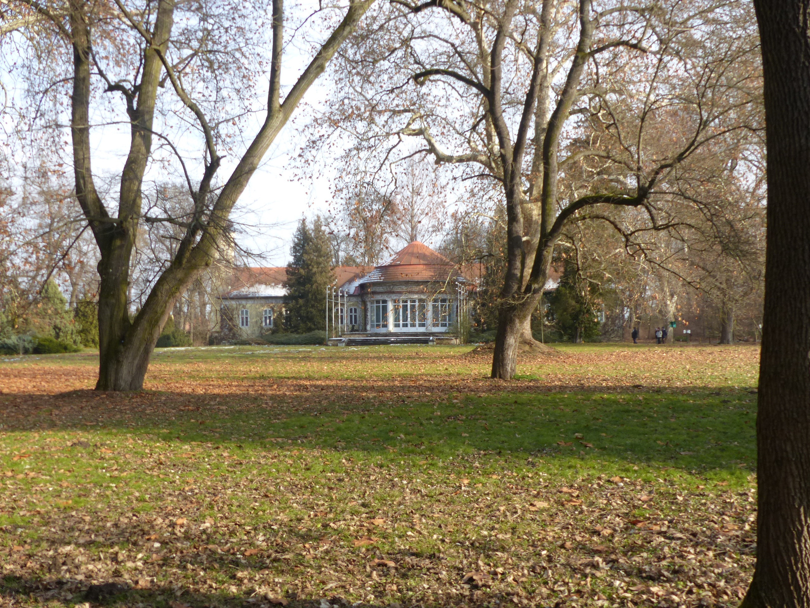 Vácrátót, a Botanikus kert télen, SzG3