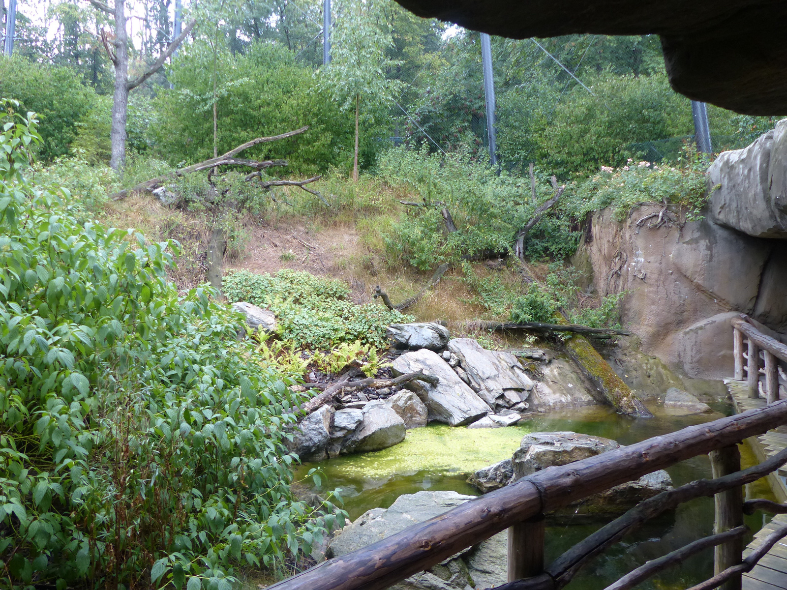 Brno, Zoo (Brünn, Állatkert), SzG3