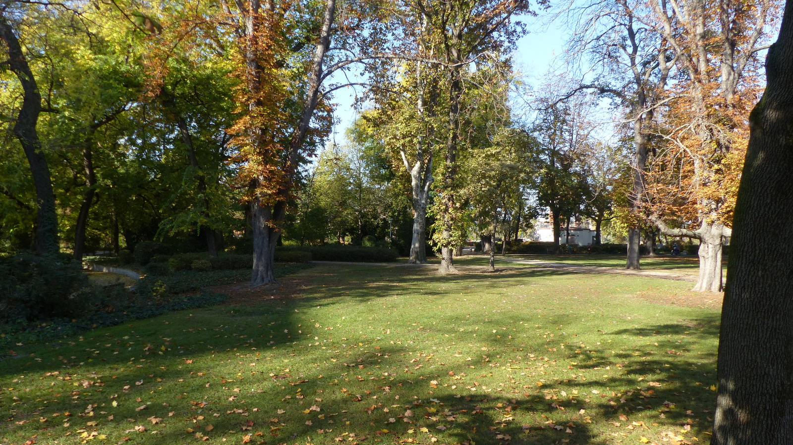 Budapest, a Margitsziget ősszel (2019), SzG3