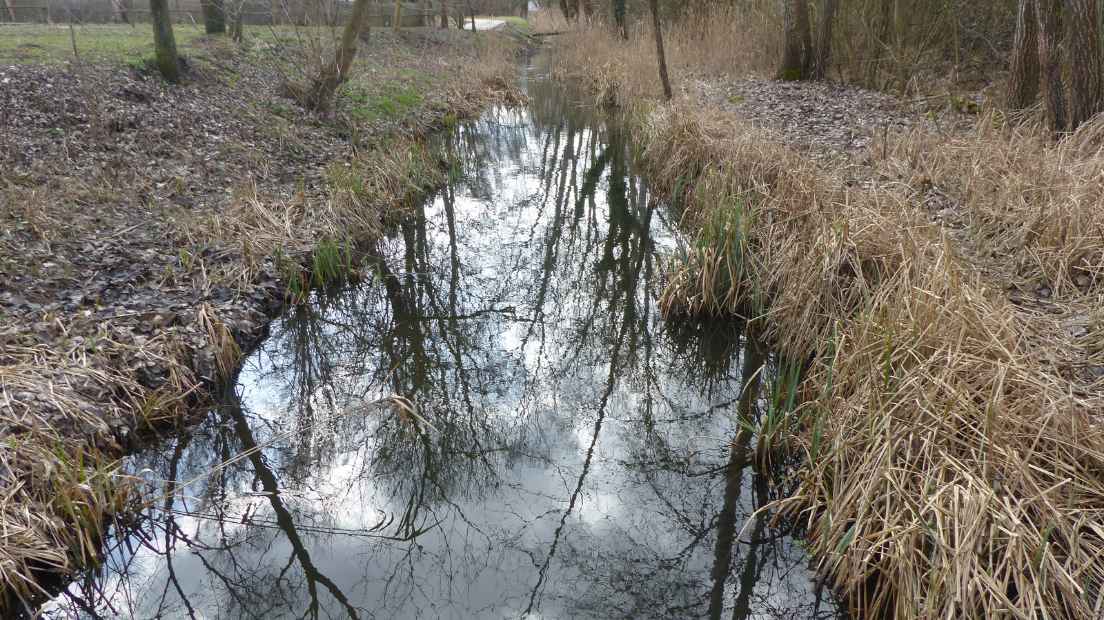 Veresegyház, Nádasliget pihenőpark, SzG3