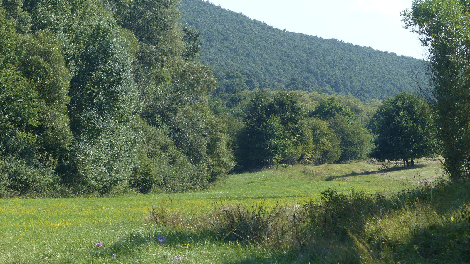 Szendehely/Katalinpuszta, Gyadai tanösvény, SzG3