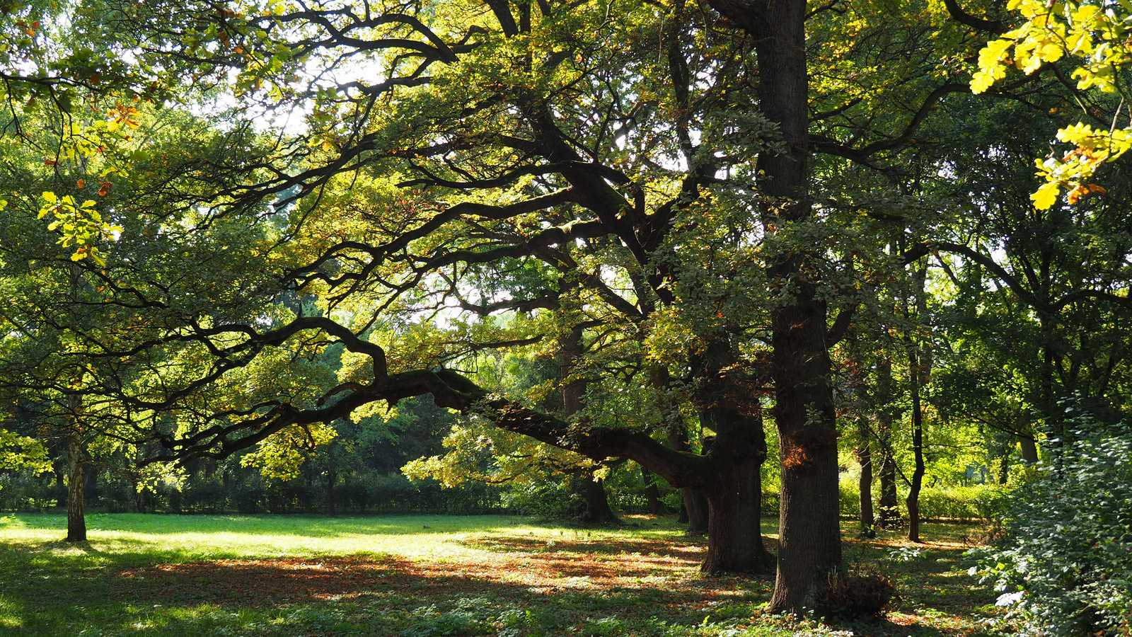 Kisterenye, Gyürky-Solymossy kastély és park, SzG3