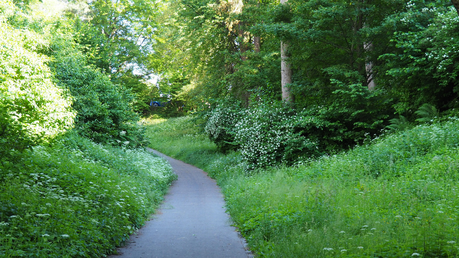 Németország, Überlingen, SzG3