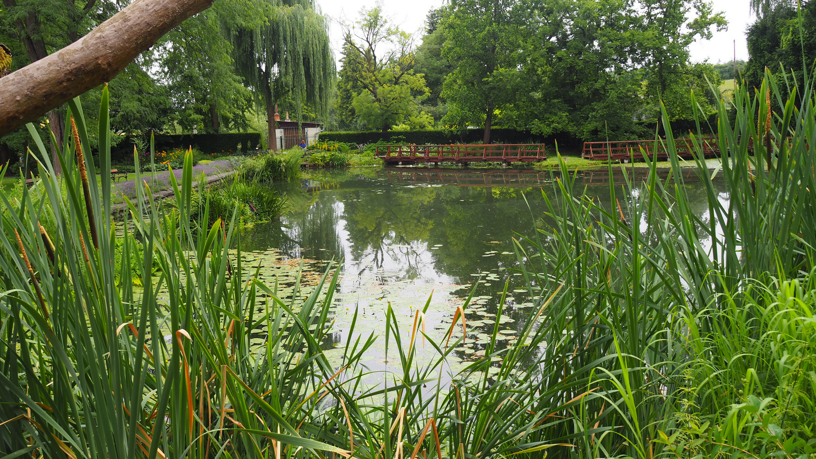 Bílá Lhota-Chudobín, Arboretum Bílá Lhota, SzG3