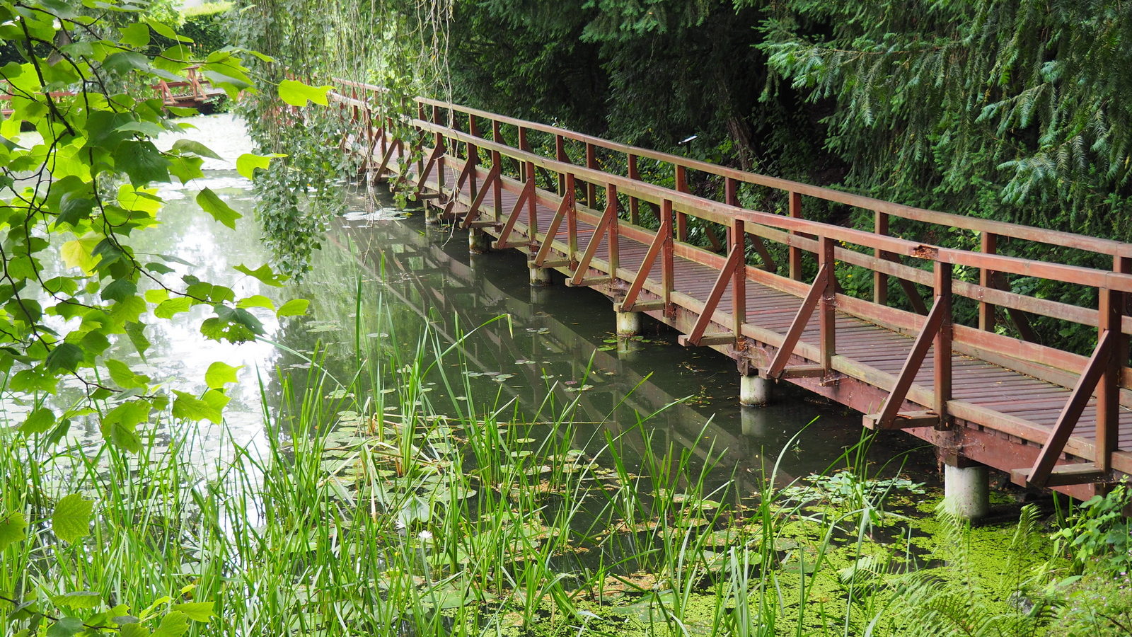 Bílá Lhota-Chudobín, Arboretum Bílá Lhota, SzG3