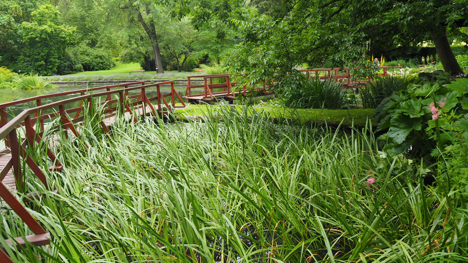 Bílá Lhota-Chudobín, Arboretum Bílá Lhota, SzG3