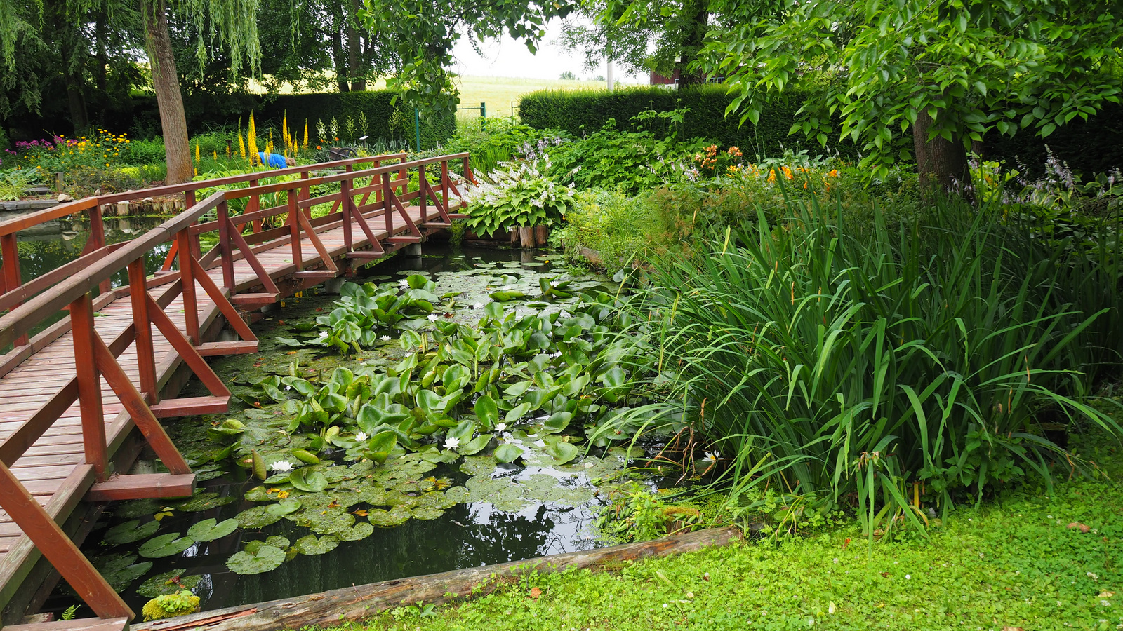 Bílá Lhota-Chudobín, Arboretum Bílá Lhota, SzG3