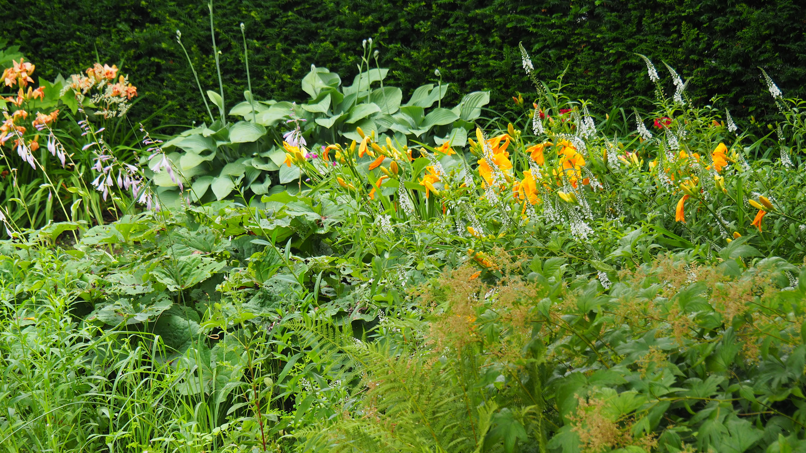 Bílá Lhota-Chudobín, Arboretum Bílá Lhota, SzG3