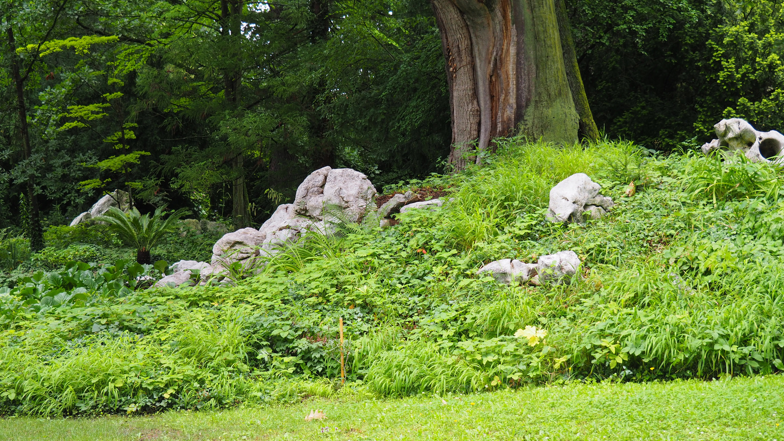 Bílá Lhota-Chudobín, Arboretum Bílá Lhota, SzG3