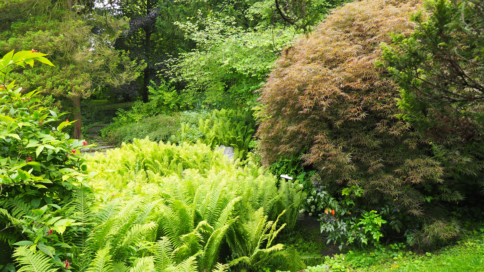 Bílá Lhota-Chudobín, Arboretum Bílá Lhota, SzG3