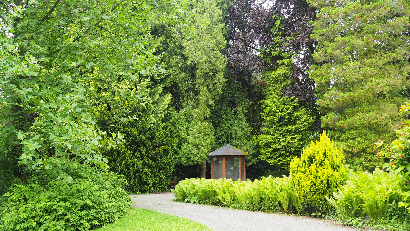 Bílá Lhota-Chudobín, Arboretum Bílá Lhota, SzG3