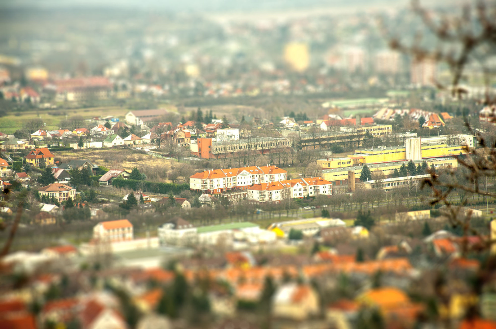 DSC0007-tiltshift