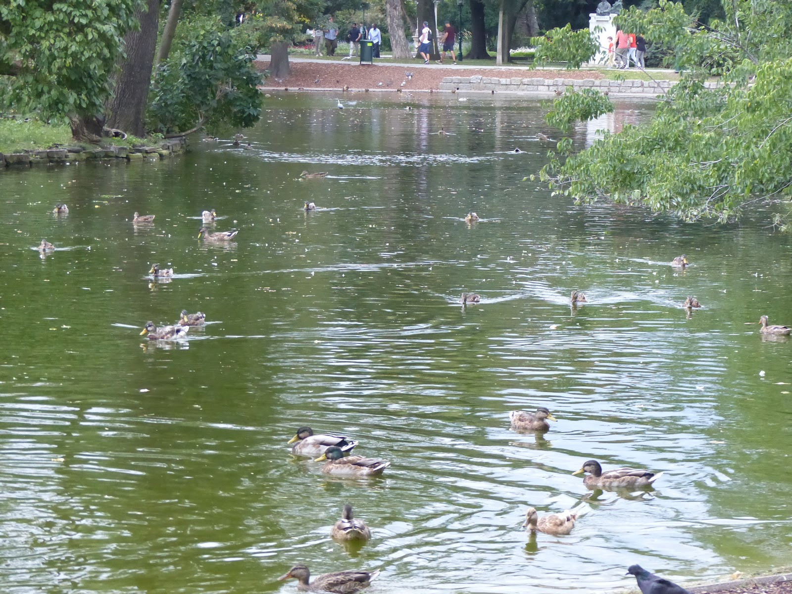 Wien, Stadtpark, SzG3