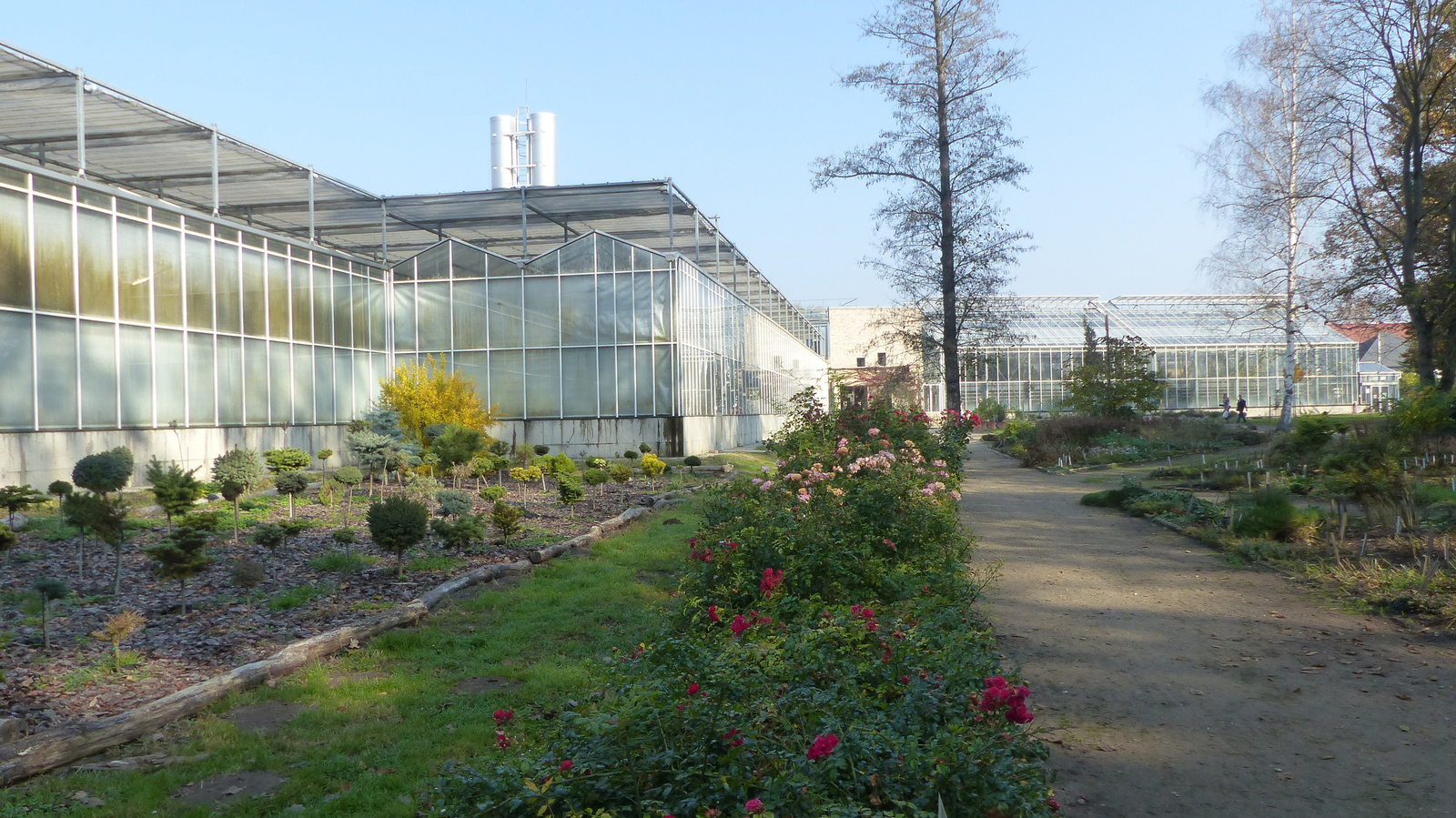 Vácrátót, az Arborétum ősszel, SzG3