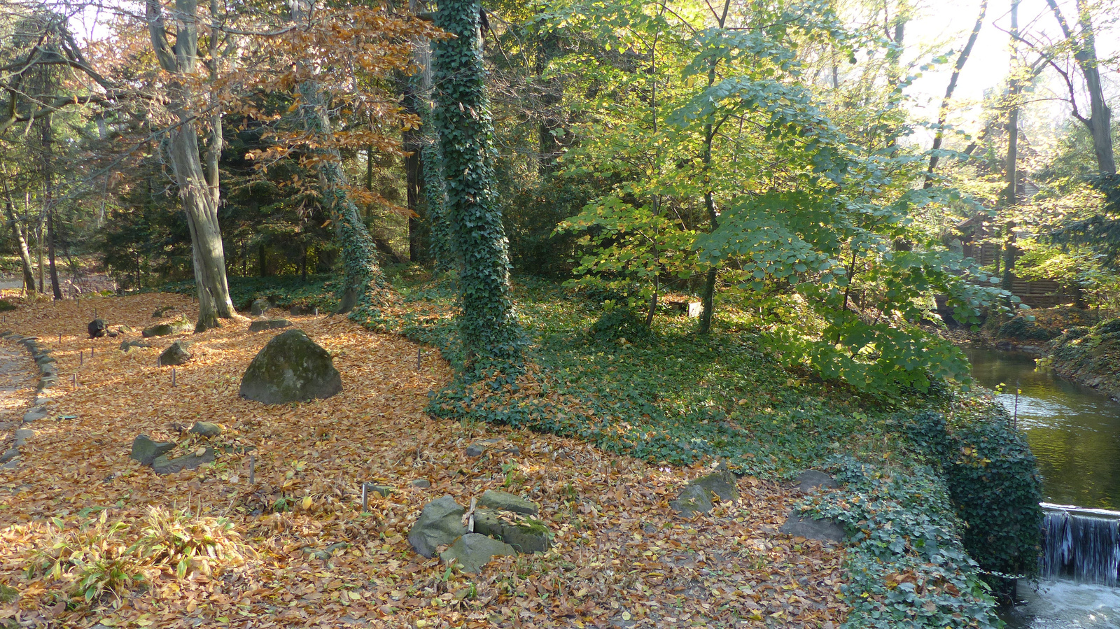 Vácrátót, az Arborétum ősszel, SzG3