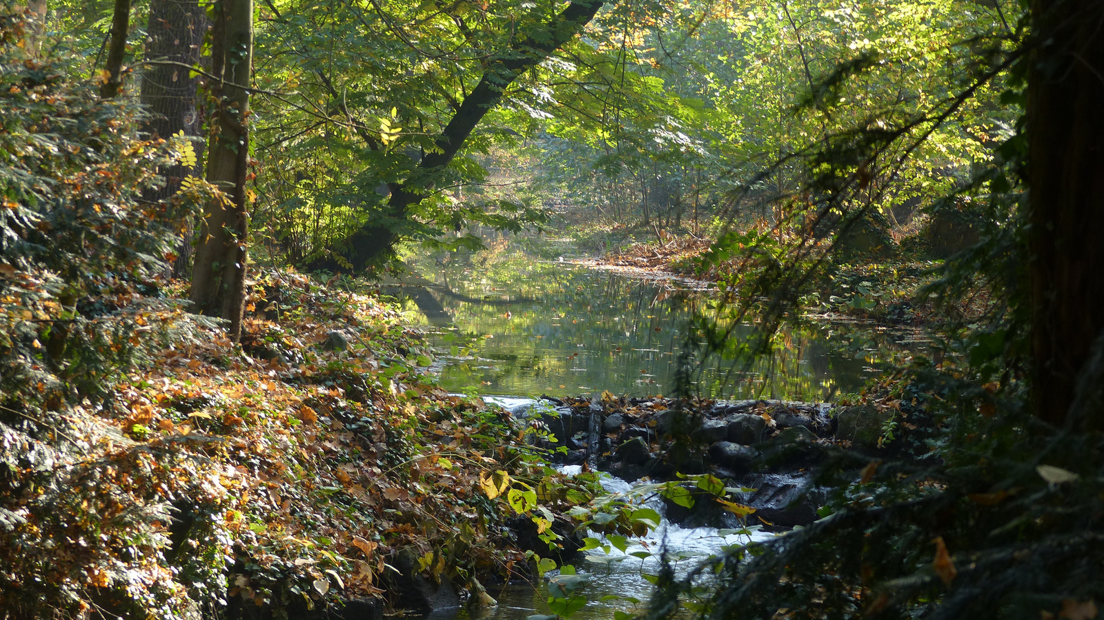 Vácrátót, az Arborétum ősszel, SzG3