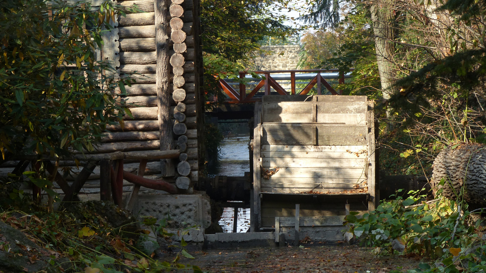 Vácrátót, az Arborétum ősszel, SzG3