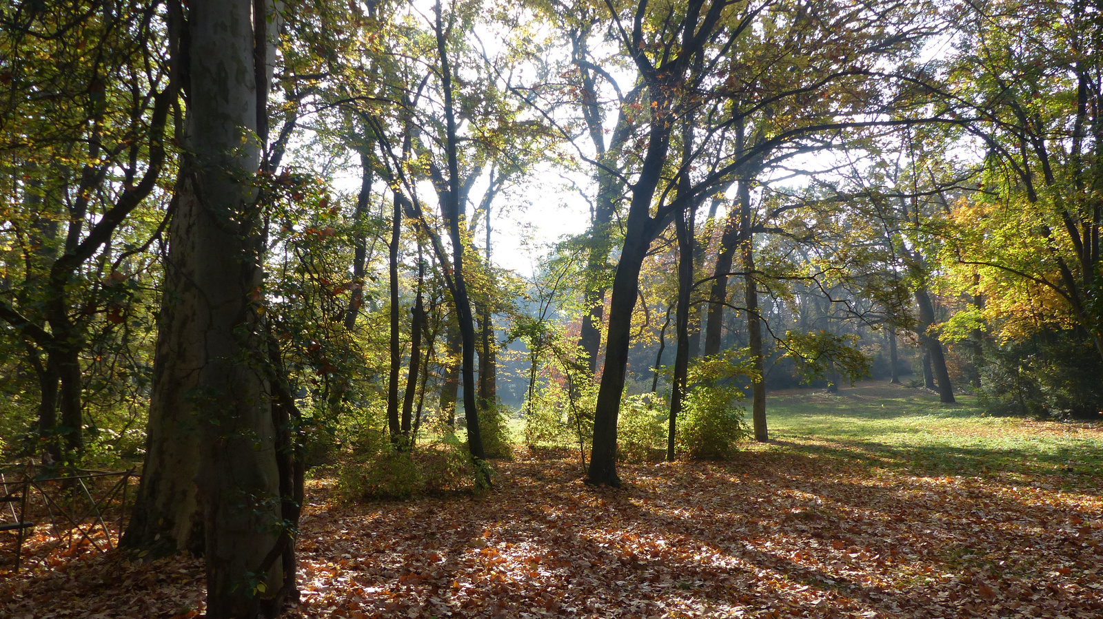 Vácrátót, az Arborétum ősszel, SzG3