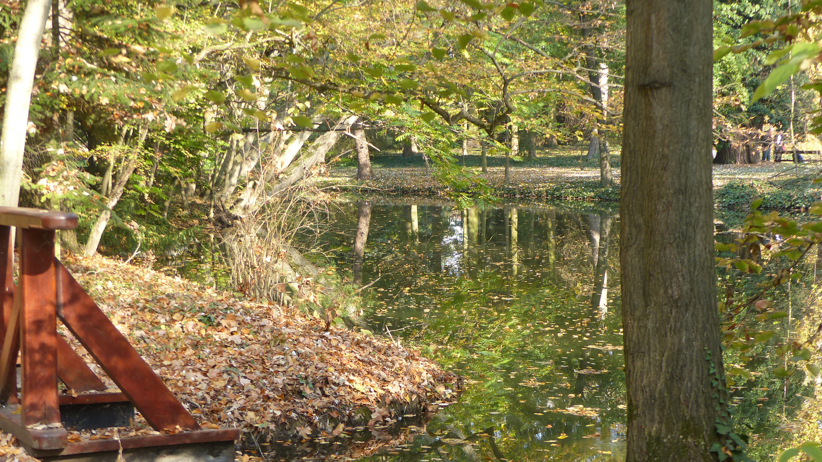 Vácrátót, az Arborétum ősszel, SzG3