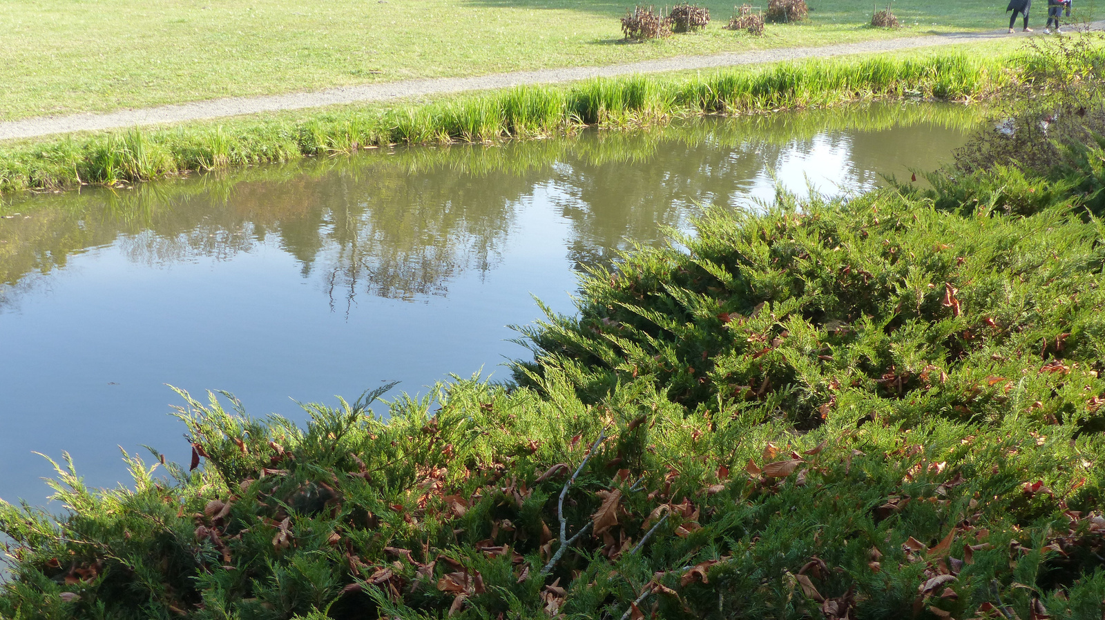 Vácrátót, az Arborétum ősszel, SzG3