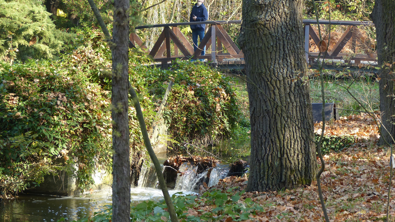 Vácrátót, az Arborétum ősszel, SzG3