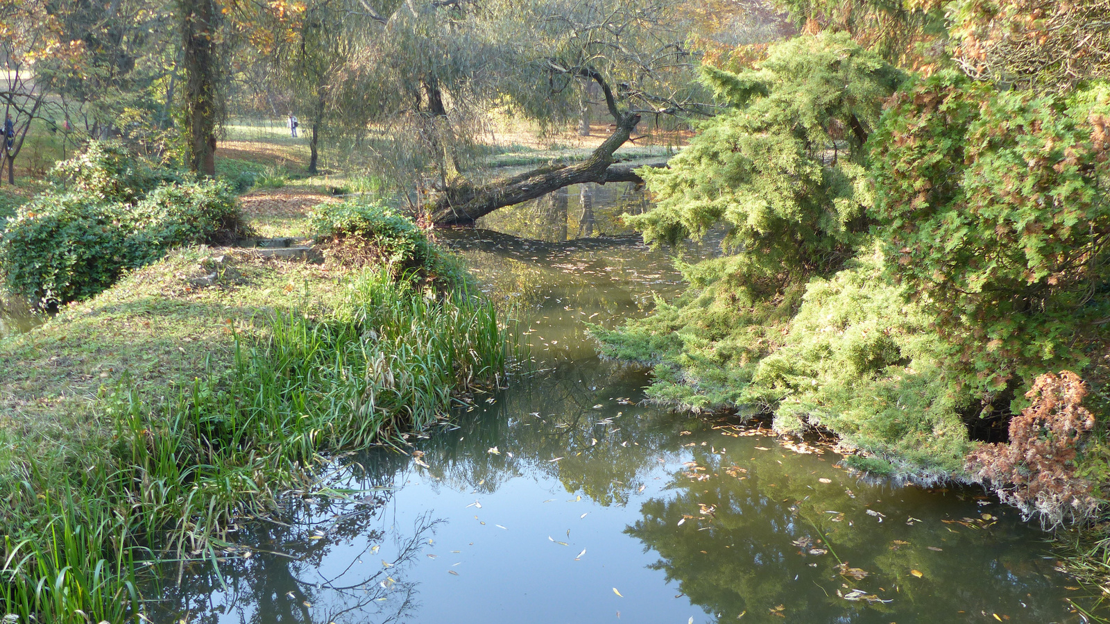 Vácrátót, az Arborétum ősszel, SzG3