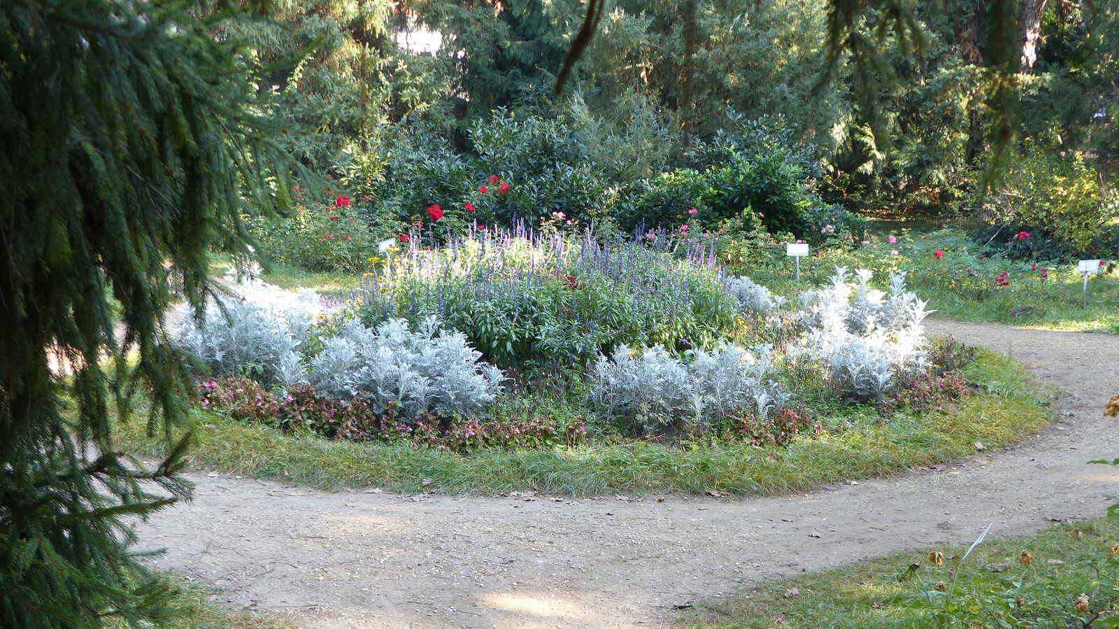 Vácrátót, az Arborétum ősszel, SzG3