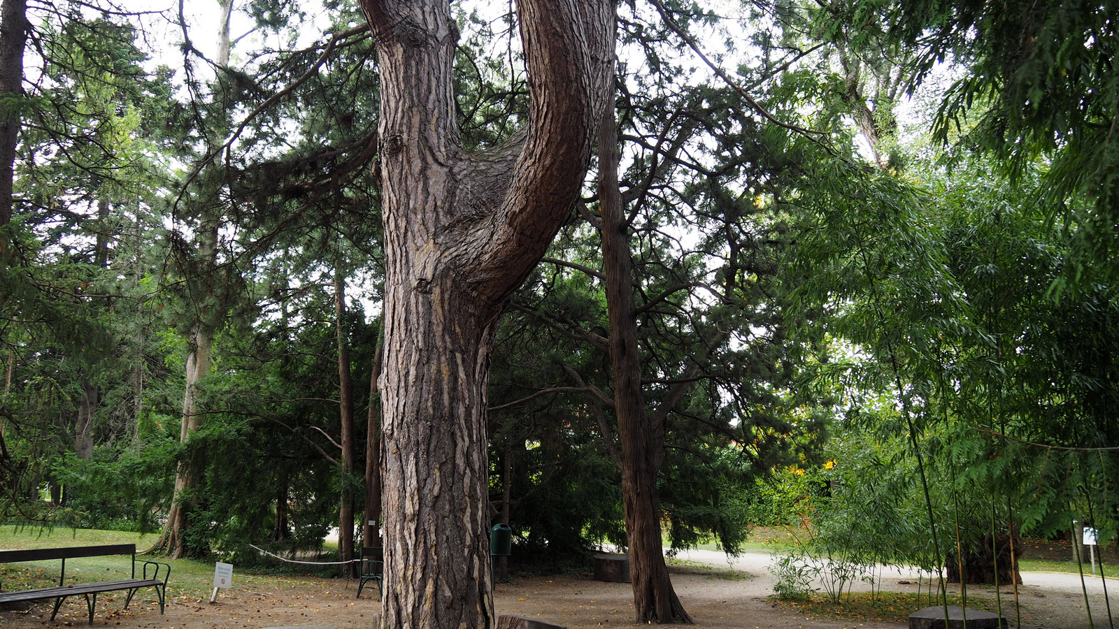 Botanischer Garten der Universität Wien, SzG3