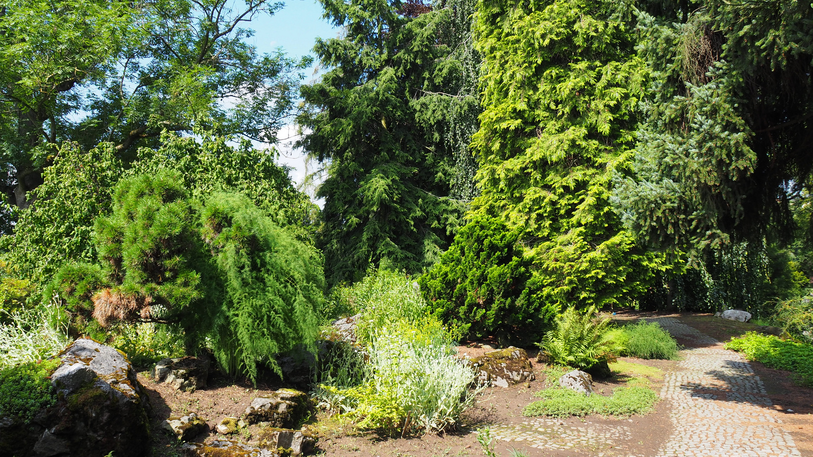 Olomous, Botanická zahrada v Bezručových sadech, SzG3