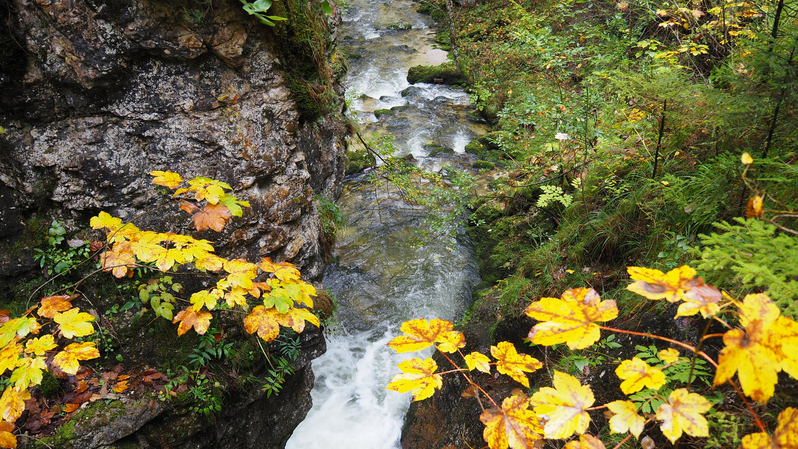 Erzhalden, Wasserlochklamm, SzG3