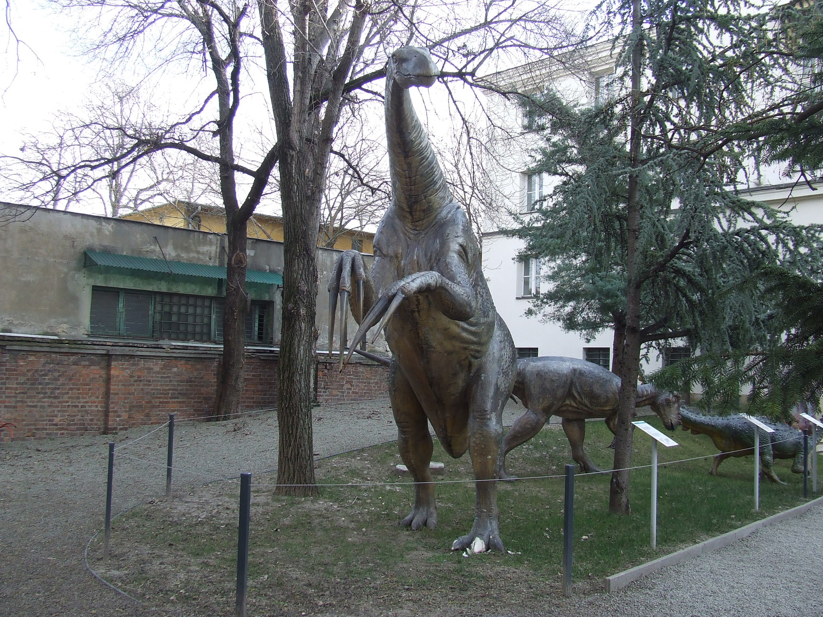 Természettudományi muzeum