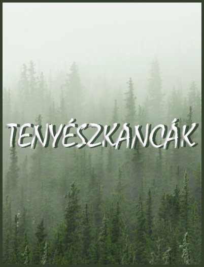 TAG tenyészkancák