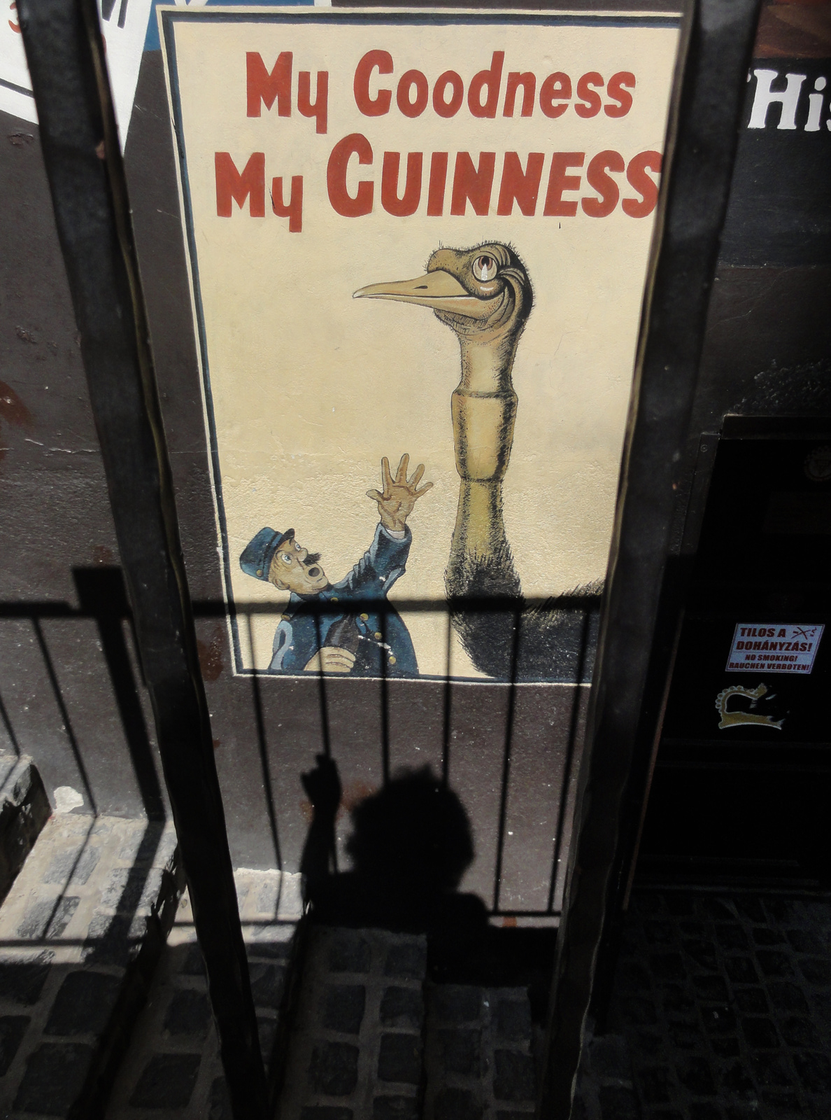 Egy boldog strucc és az Ő Guinness-e